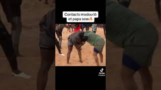 Modou Lô vs Papa Sow : combat bou nexx😂 (entraînement)