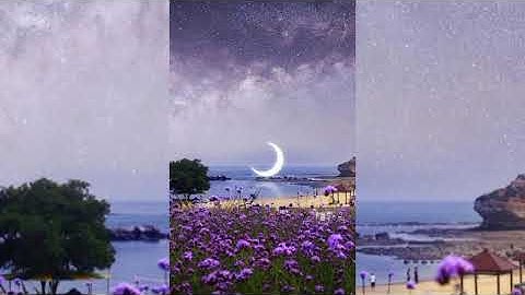 قران كريم بصوت جميل سورة الانعام صوت يبكي القلوب