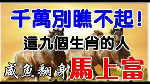 這九個生肖，鹹魚翻身馬上富，高攀不起。| 星座生肖 - 天天要聞