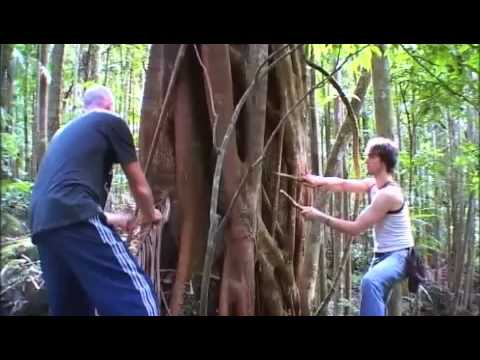 Drum Nature-Greg Sheehan & Ben Walsh percussionists play strangler fig northern nsw