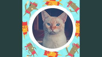 Pulsating Backdrops for Moody Kittens