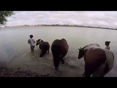 Baie de somme à cheval et à poney - Jour 4 - La baignade