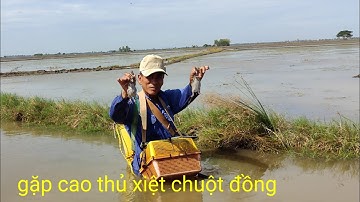 gặp cao thủ xiệt chuột đồng ếch. hết chỗ để luôn rồi. quá hay chú ơi