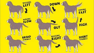 Do dogs wag their tails when angry?