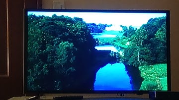 Garfield: A Tale of Two Kitties Intro