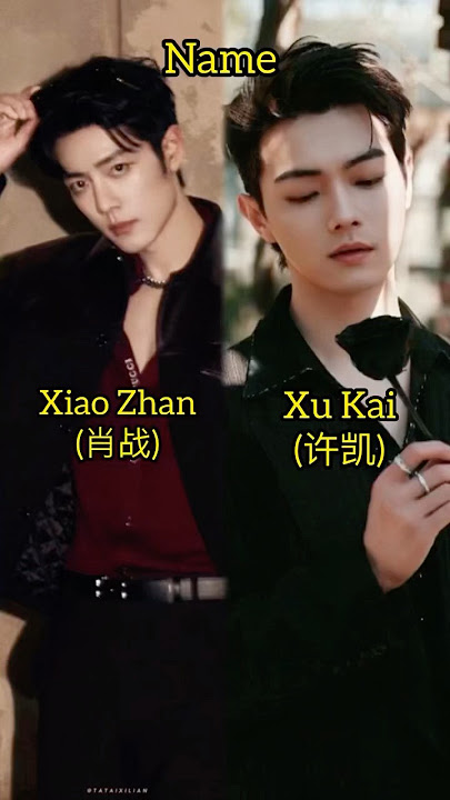 Zhao Zhan Vs Xu Kai #xukai #xiaozhan #shorts #fyp