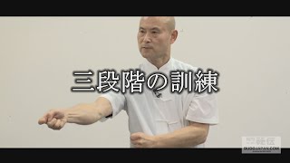 小幡良祐先生【形意拳の崩拳】一打を究める三段階の訓練法 How to master Beng Quan in Xing Yi Quan