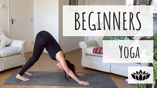 Yoga for Complete Beginners - 20 Minute Home Yoga Workout!