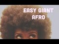 Super Easy Giant Afro