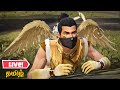 🤍 0 to 50 streaks 💛 free fire tamil live 🤍 #tamil ? #tamillive #freefire