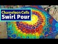 Chameleon Cells Swirl Pour - MUST SEE!🤩🌈 Tie-Dye effect??? Acrylic Pour Painting Technique