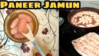 Paneer Jamun Recipe in Tamil | Rose Gulab Jamun | How to make Paneer Jamun in Tamil