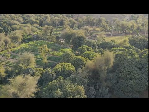 جمال الطبيعة تعز وادي الضباب مشاوير