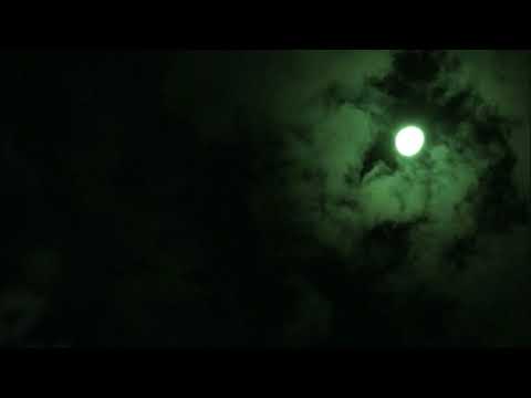 Nogani De Official Release