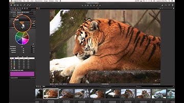 Introduction to Capture One Express 7 | Phase One
