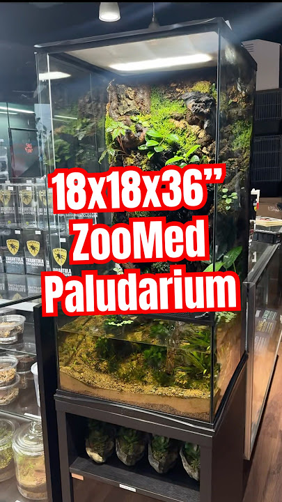 Custom 18x18x36” ZooMed Paludarium Build #reptileshop #tucson #frogs #paludarium #bioactive