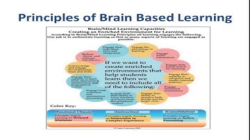 Brain Based Learning