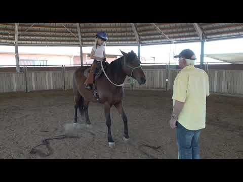 First Riding Lesson for Antonia 7 Years Old charming girl