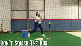 Dont Squish The Bug Save The Bugs
