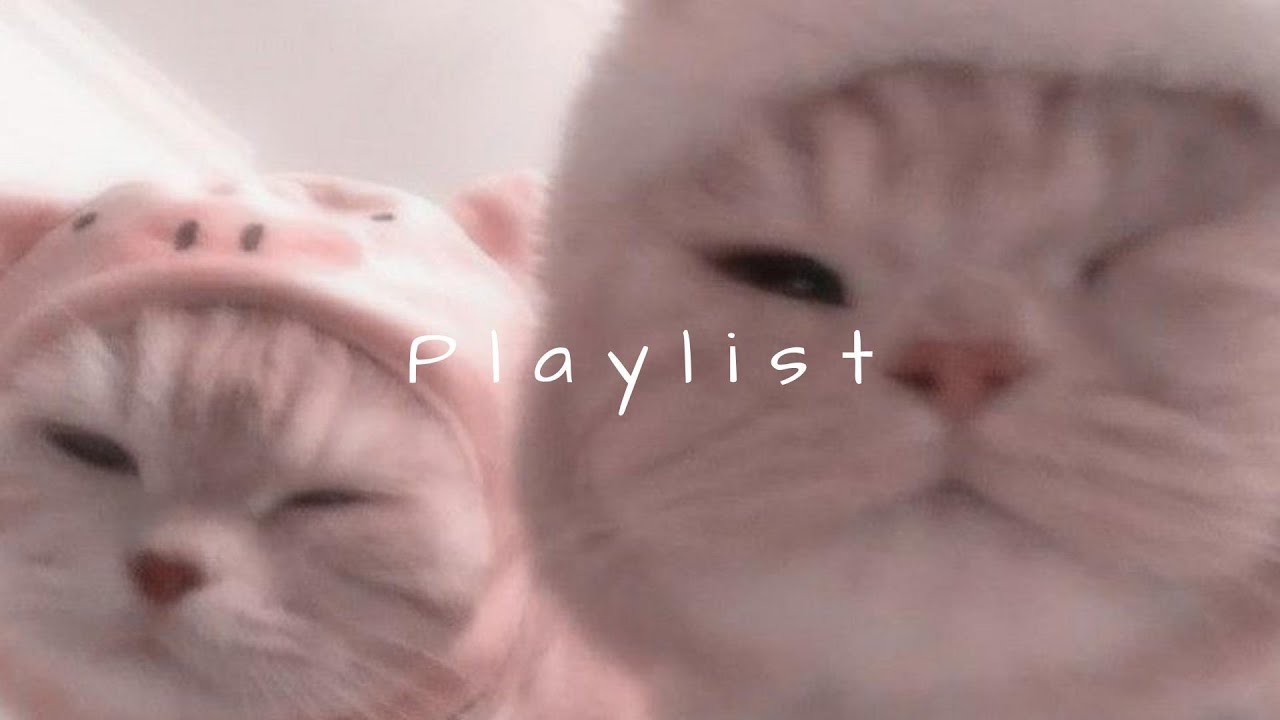 𝐏𝐥𝐚𝐲𝐥𝐢𝐬𝐭 너 뭐 듣냐고 DM 오게 만드는 인스타 감성 플리 🤍🎧 | reels vibe · chill r&b · mood