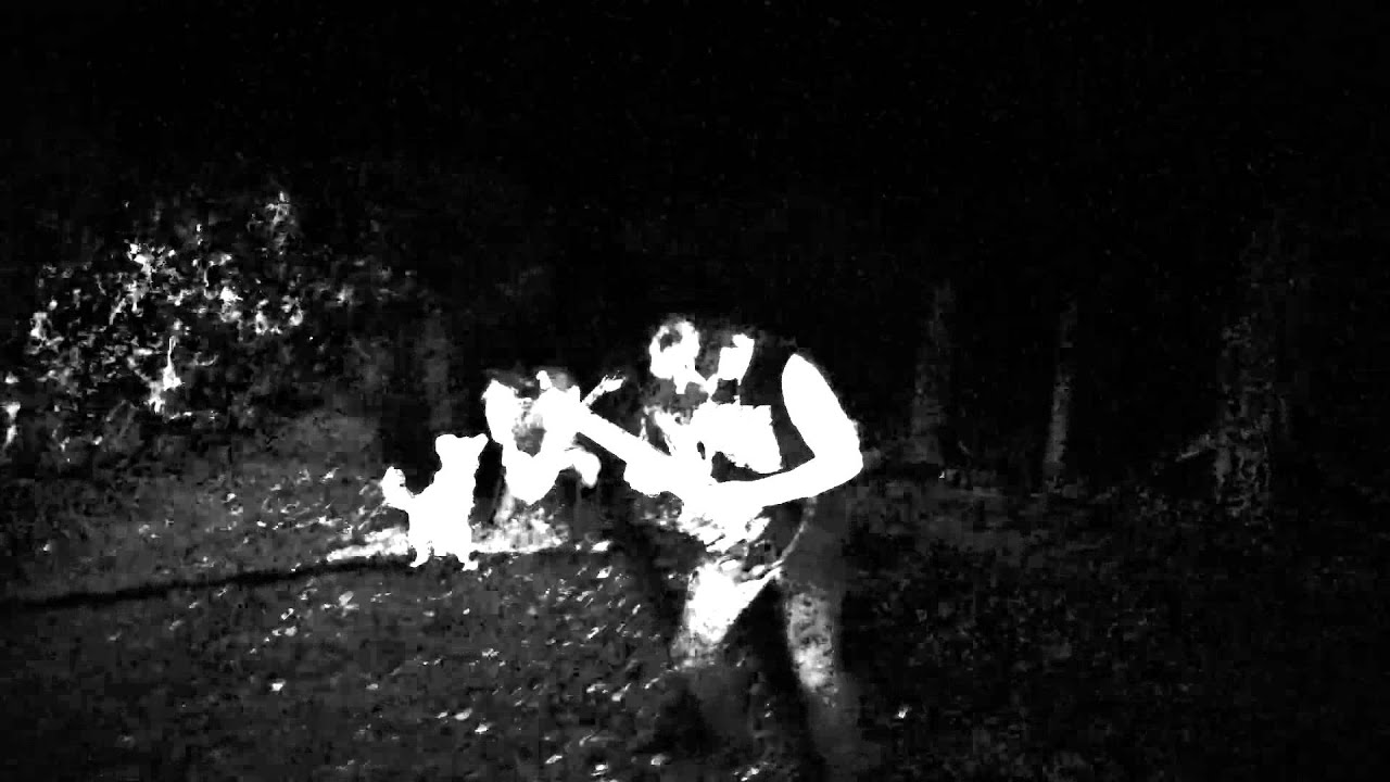 Eternis - Schlaater-Nuachet (Official Video) *TRVE KVLT BLACK METAL*