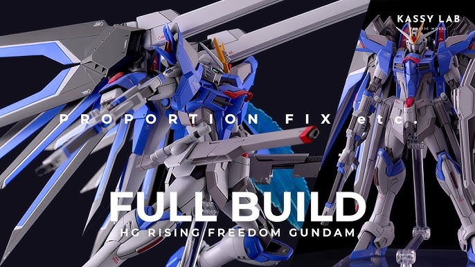 RG 厳し 1/144 Hi-νガンダム＋メタルロボット魂 リガズィ・カスタム