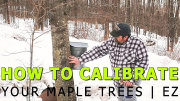 EZ Calibrate Your Maple Trees for BIG Maple Syrup Harvest | How to Tap With the Vermont Tree Tapper