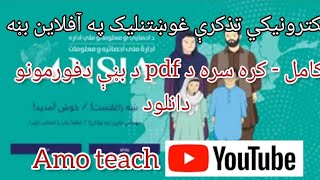 د الکترونیکی تذکرو نوم لیکنه په آفلاین ډول- د انفرادی او کورنی فورمې د ډکولو لارښود