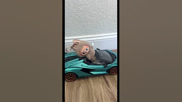 I Woke Up In A New Bugatti Labubu Viral Tiktok Shorts Trending Bugatti 