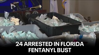 24 arrested in Florida fentanyl bust