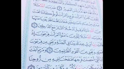 قرأءة مُميزة من سورة التحريم للقآرئ الشيخ هآرون الحمآدي