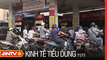 Bản tin Kinh tế và Tiêu dùng ngày 11/11: Xăng lên gần 24.000 đ/lít trong bối cảnh khan hiếm | ANTV