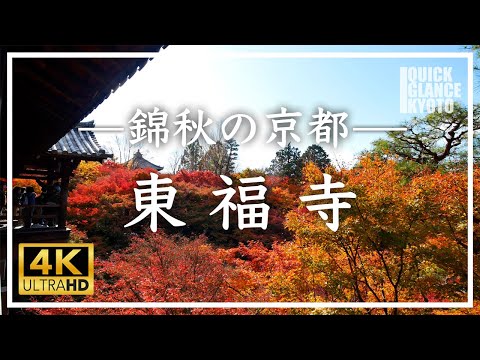 【京都 秋の旅】東福寺 〜京都の秋の定番スポット、通天橋から見渡す紅葉の海「洗玉澗」は京の秋の絶景No.1です。