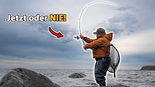 Der nächste Wurf entscheidet alles…  Meerforelle an der Ostsee!
