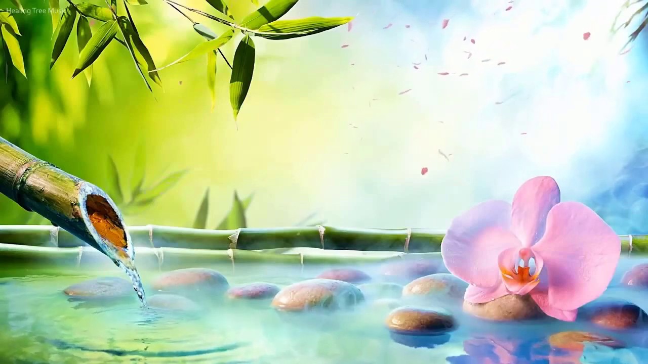 Relaxing music with the sounds of nature Bamboo Water Fountain YouTube