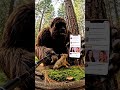 Bigfoot Teaches Squirrels About Memes