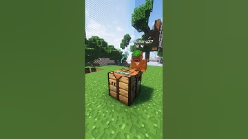 The Interaction Visualiser Plugin makes the game so much better!  #minecraft #plugins #shorts