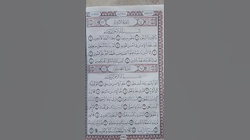 سورة التين من القرآن الكريم