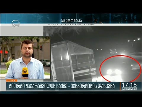 გიორგი შაქარაშვილის საქმე - ექსპერტიზის დასკვნა