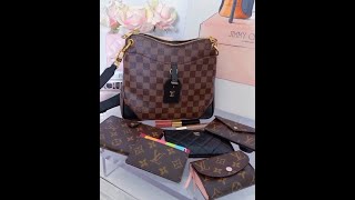 What fits in #louisvuitton #lvodeon with its #zoomoni Organizer | Zoomoni