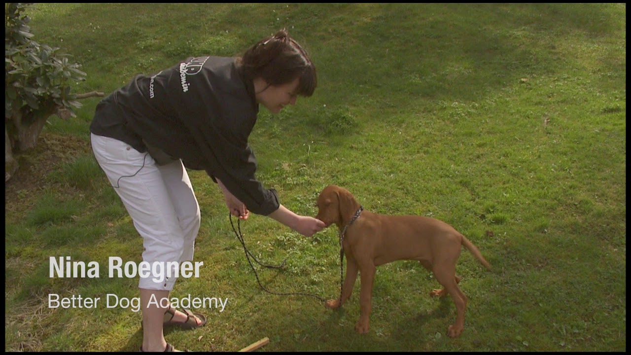 Hur får man bra kontakt?