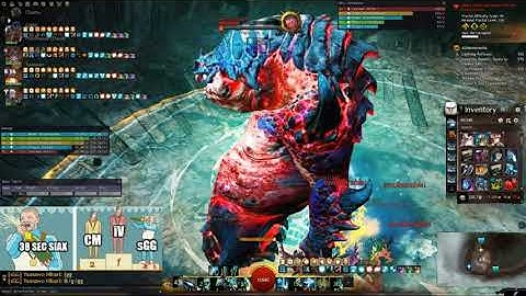 [sGG] Siax 0:38 | Dragonhunter | Fractal Bounty