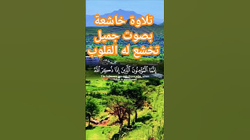 تلاوة خاشعة قران كريم راحة نفسية #قران_كريم #قرآن #تلاوة_هادئة #تلاوات_خاشعة