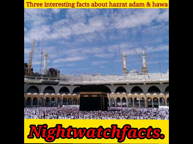 three interesting facts about adam and hawa. #2m #facts #amazingfacts #ytshorts. class=