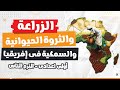 الزراعة والثروة الحيوانية والسمكية فى إفريقيا الجزء الأول أولى اعدادى الترم التانى