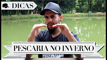Quais peixes pega no frio?