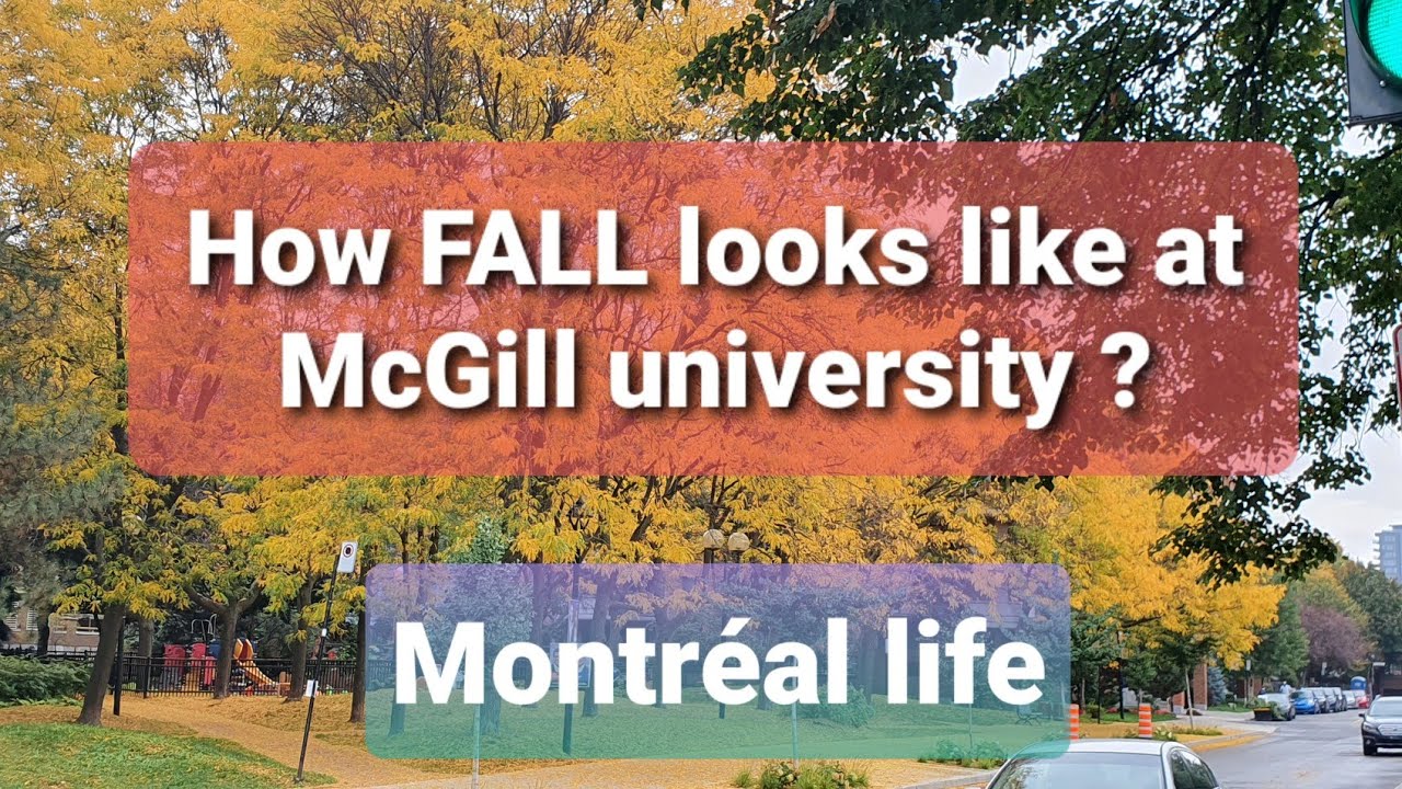 Walking around McGill university in Fall 2021 YouTube
