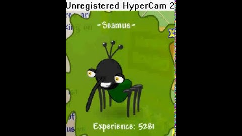 Binweevils New Mod !