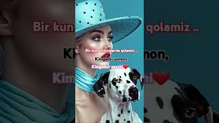 Doimo Yaxshi Hotiralar Qoldiraylik Resimi