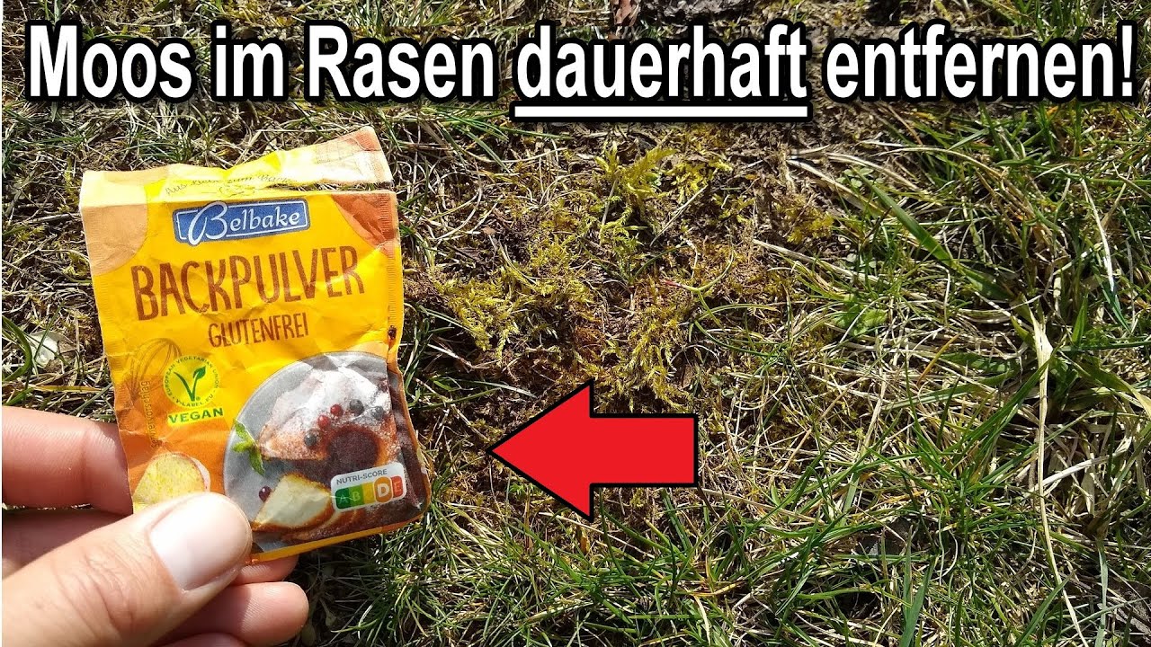 dünger für basilikum selber machen Purgrün Bio-Basilikum-Dünger 1 Liter main image 1